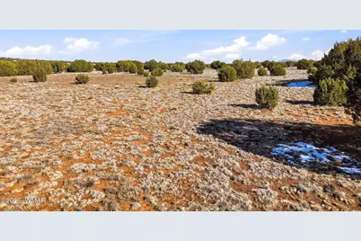 69 County Road 8209, Concho, AZ 85924 - Photo 3