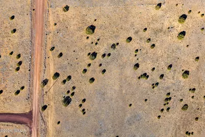 69 County Road 8209, Concho, AZ 85924 - Photo 25