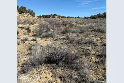 310 N County Road 6726, Saint Johns, AZ 85936 - Photo 37