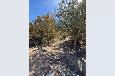 310 N County Road 6726, Saint Johns, AZ 85936 - Photo 31