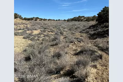 310 N County Road 6726, Saint Johns, AZ 85936 - Photo 35