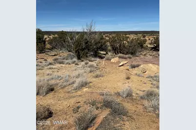 310 N County Road 6726, Saint Johns, AZ 85936 - Photo 43