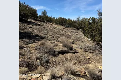 310 N County Road 6726, Saint Johns, AZ 85936 - Photo 27