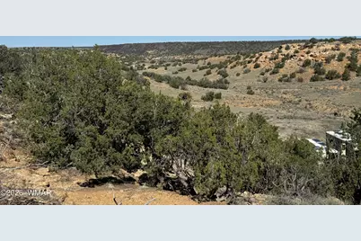 310 N County Road 6726, Saint Johns, AZ 85936 - Photo 15