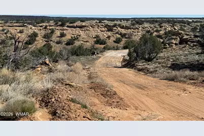 310 N County Road 6726, Saint Johns, AZ 85936 - Photo 17