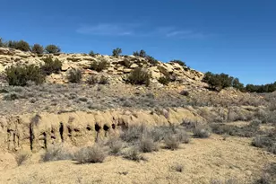 310 N County Road 6726, Saint Johns, AZ 85936 - Photo 1