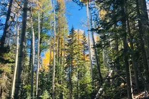 4297 Eagle Cir, Pinetop, AZ 85935 - Photo 29