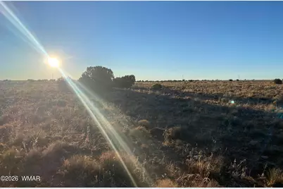 Lot 51 Ridgeview Ranch Drive, Snowflake, AZ 85937 - Photo 3