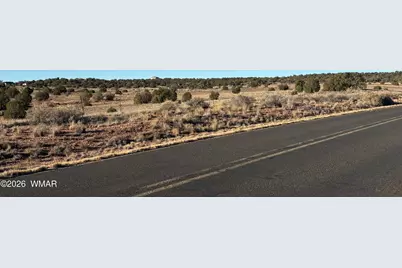 8581 Concho Highway, Snowflake, AZ 85937 - Photo 3