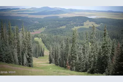 5974 E Elk Springs, Lakeside, AZ 85929 - Photo 47