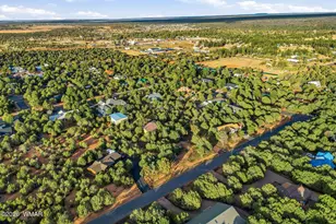 6846 Lucky Ln, Show Low, AZ 85901 - Photo 39