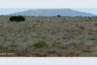 500 Chevelon Canyon Drive, Heber, AZ 85928 - Photo 1