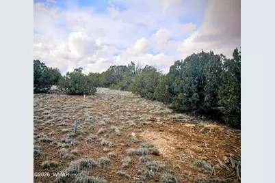 8477 Airport Drive, Show Low, AZ 85901 - Photo 11