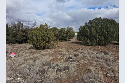 1903 Ponce Place, Show Low, AZ 85901 - Photo 9