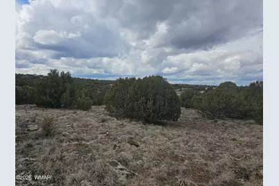 1903 Ponce Place, Show Low, AZ 85901 - Photo 1