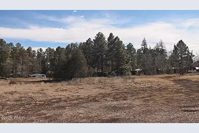 21230027B W White Mountain Blvd, Lakeside, AZ 85929 - Photo 1