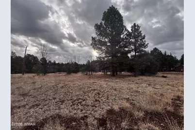 21230027B W White Mountain Blvd, Lakeside, AZ 85929 - Photo 23