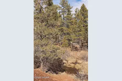 21230027B W White Mountain Blvd, Lakeside, AZ 85929 - Photo 7
