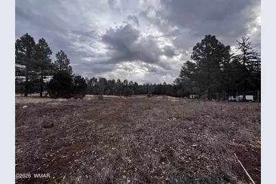 21230027B W White Mountain Blvd, Lakeside, AZ 85929 - Photo 23