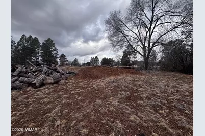 21230027B W White Mountain Blvd, Lakeside, AZ 85929 - Photo 25