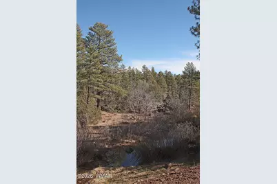 21230027B W White Mountain Blvd, Lakeside, AZ 85929 - Photo 13