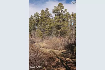 21230027B W White Mountain Blvd, Lakeside, AZ 85929 - Photo 7