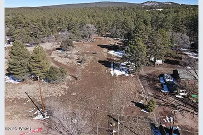 21230027B W White Mountain Blvd, Lakeside, AZ 85929 - Photo 39