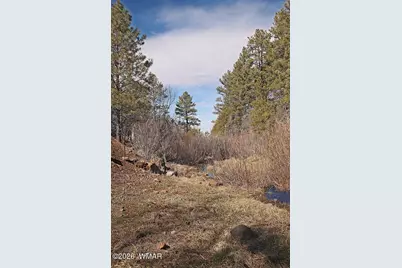 21230027B W White Mountain Blvd, Lakeside, AZ 85929 - Photo 13