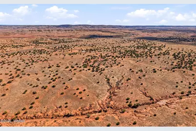 34766 Sr 180A, Concho, AZ 85924 - Photo 41