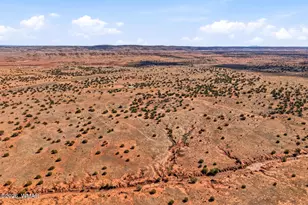 34766 Sr 180A, Concho, AZ 85924 - Photo 41