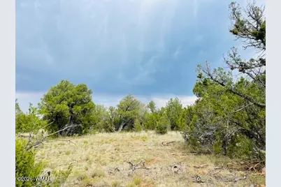 8418 Haven Crest Drive, Happy Jack, AZ 86024 - Photo 7