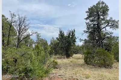 8418 Haven Crest Drive, Happy Jack, AZ 86024 - Photo 17