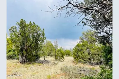 8418 Haven Crest Drive, Happy Jack, AZ 86024 - Photo 3