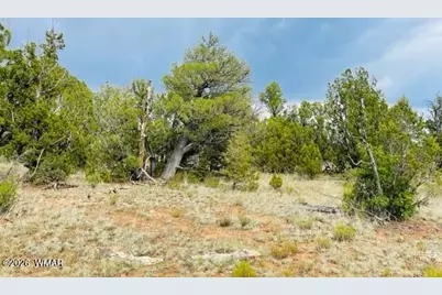 8418 Haven Crest Drive, Happy Jack, AZ 86024 - Photo 1