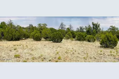 8418 Haven Crest Drive, Happy Jack, AZ 86024 - Photo 13