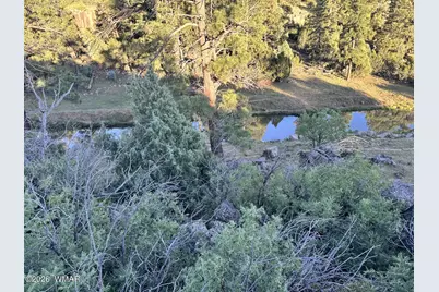 010D E Owens, Show Low, AZ 85901 - Photo 7