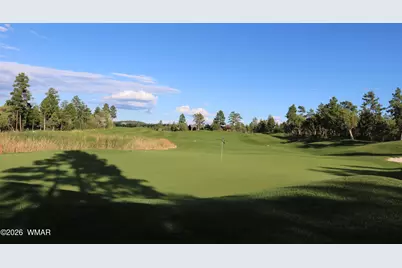 620 S Spirea Lane, Show Low, AZ 85901 - Photo 53