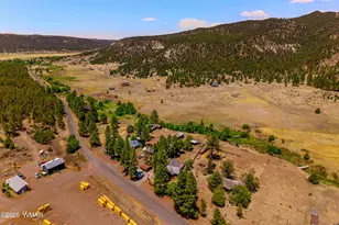 96 Co Rd 2180, Nutrioso, AZ 85932 - Photo 25