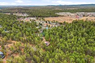 1041 E White Tail Dr, Show Low, AZ 85901 - Photo 49