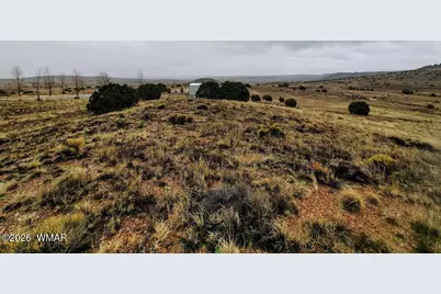 1221 W Farmhouse Drive, Taylor, AZ 85939 - Photo 7