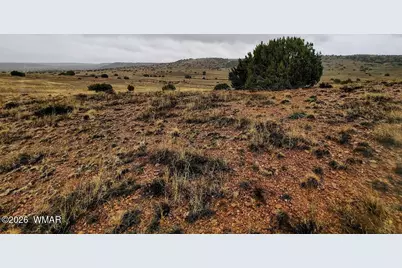 1221 W Farmhouse Drive, Taylor, AZ 85939 - Photo 3