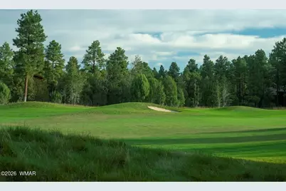 1380 S Lakeside Trail, Show Low, AZ 85901 - Photo 51