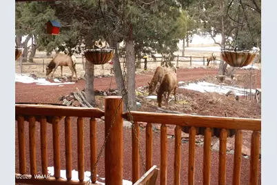 21 N 4037 Road, Greer, AZ 85927 - Photo 27