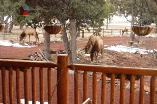 21 N 4037 Rd, Greer, AZ 85927 - Photo 27