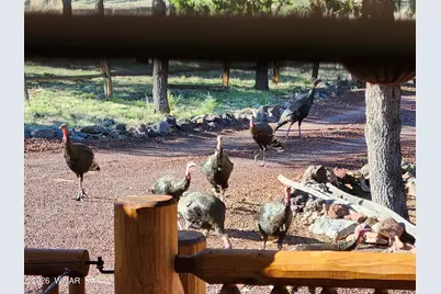 21 N 4037 Road, Greer, AZ 85927 - Photo 25