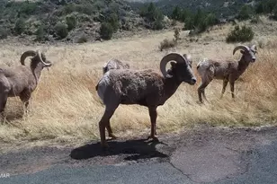 21 N 4037 Rd, Greer, AZ 85927 - Photo 23