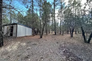 3343 Sunset Ln, Lakeside, AZ 85929 - Photo 17