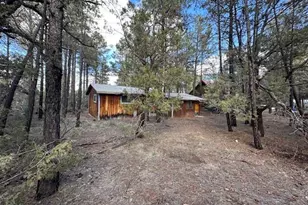 3343 Sunset Ln, Lakeside, AZ 85929 - Photo 21