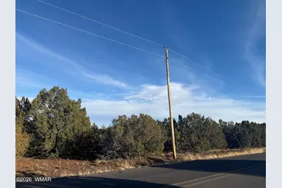 134 County Road  3148, Vernon, AZ 85940 - Photo 1