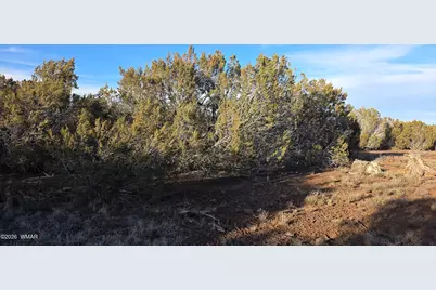 134 County Road  3148, Vernon, AZ 85940 - Photo 7